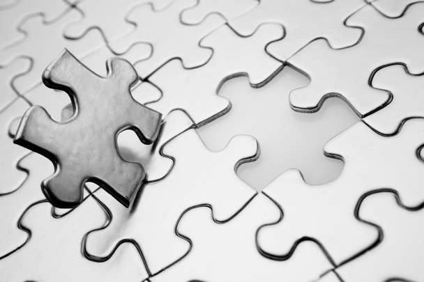 همه چیز درباره عفونت ادراری بچه گربه